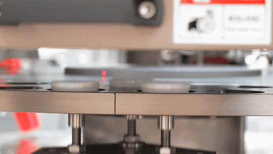 4.gif