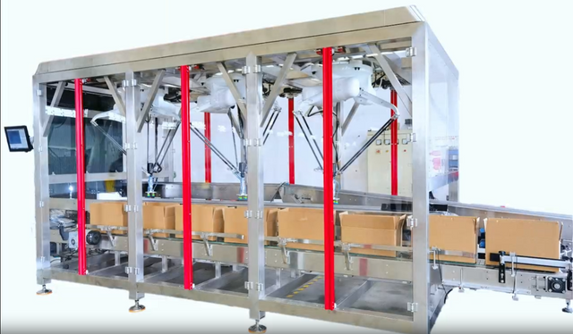 Automatic Case Packer Machine | Robotic Pick and Place Cartoning Packing Machine for Food, Biscuit, Bakery, Snack and Box Packaging